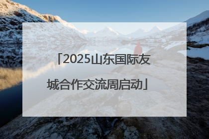2025山东国际友城合作交流周启动