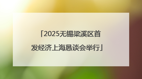 2025无锡梁溪区首发经济上海恳谈会举行