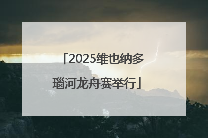 2025维也纳多瑙河龙舟赛举行