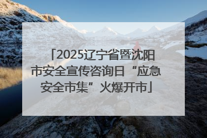 2025辽宁省暨沈阳市安全宣传咨询日“应急安全市集”火爆开市