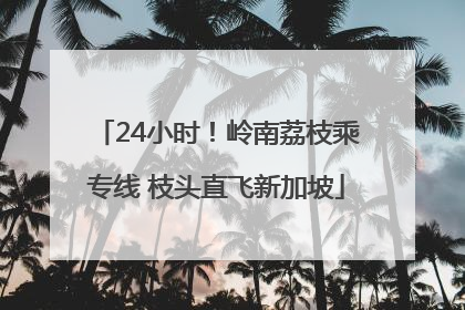 24小时！岭南荔枝乘专线 枝头直飞新加坡