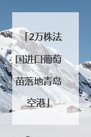 2万株法国进口葡萄苗落地青岛空港