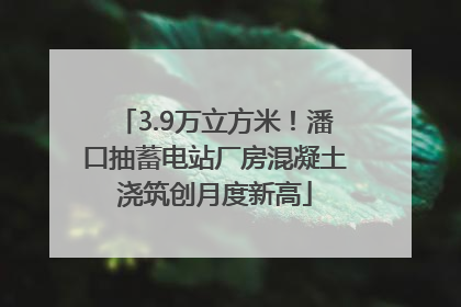 3.9万立方米！潘口抽蓄电站厂房混凝土浇筑创月度新高