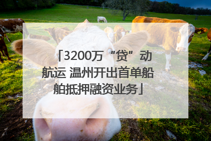 3200万“贷”动航运 温州开出首单船舶抵押融资业务