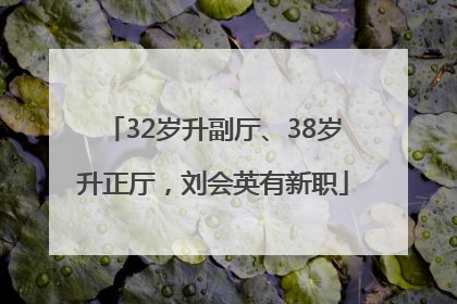 32岁升副厅、38岁升正厅，刘会英有新职