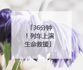 36分钟！列车上演生命救援
