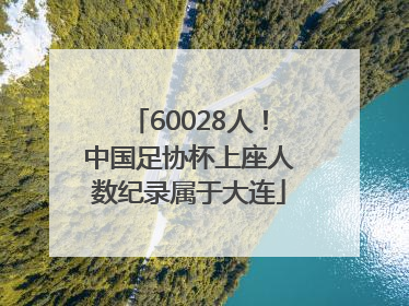60028人！中国足协杯上座人数纪录属于大连