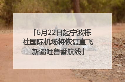6月22日起宁波栎社国际机场将恢复直飞新疆吐鲁番航线