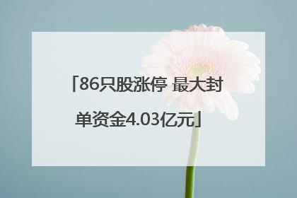 86只股涨停 最大封单资金4.03亿元