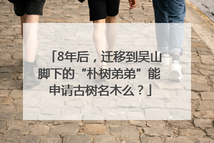 8年后，迁移到吴山脚下的“朴树弟弟”能申请古树名木么？