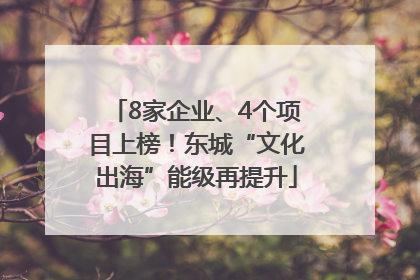 8家企业、4个项目上榜！东城“文化出海”能级再提升