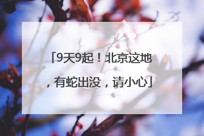 9天9起！北京这地，有蛇出没，请小心
