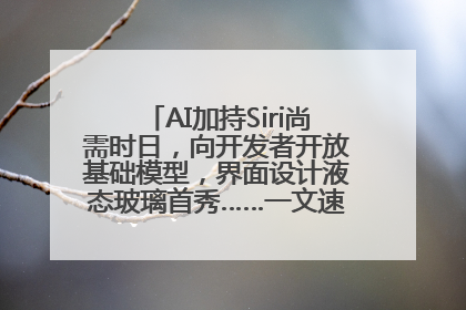 AI加持Siri尚需时日，向开发者开放基础模型，界面设计液态玻璃首秀……一文速览苹果WWDC