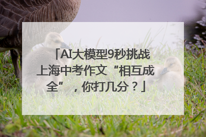 AI大模型9秒挑战上海中考作文“相互成全”，你打几分？