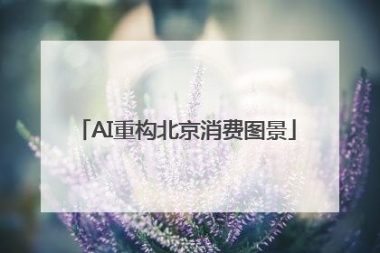 AI重构北京消费图景