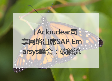 Acloudear司享网络出席SAP Emarsys峰会：破解流量困局，驱动精准增长