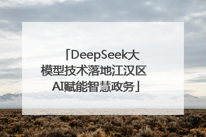 DeepSeek大模型技术落地江汉区 AI赋能智慧政务