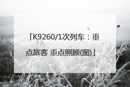 K9260/1次列车：重点旅客 重点照顾(图)